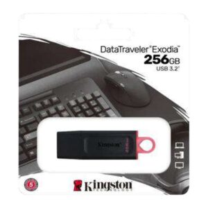 Memoria USB Kingston Dtx 256GB 3.2 Gen 1